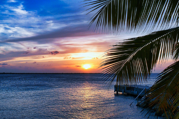 Destination Dreams: Bonaire