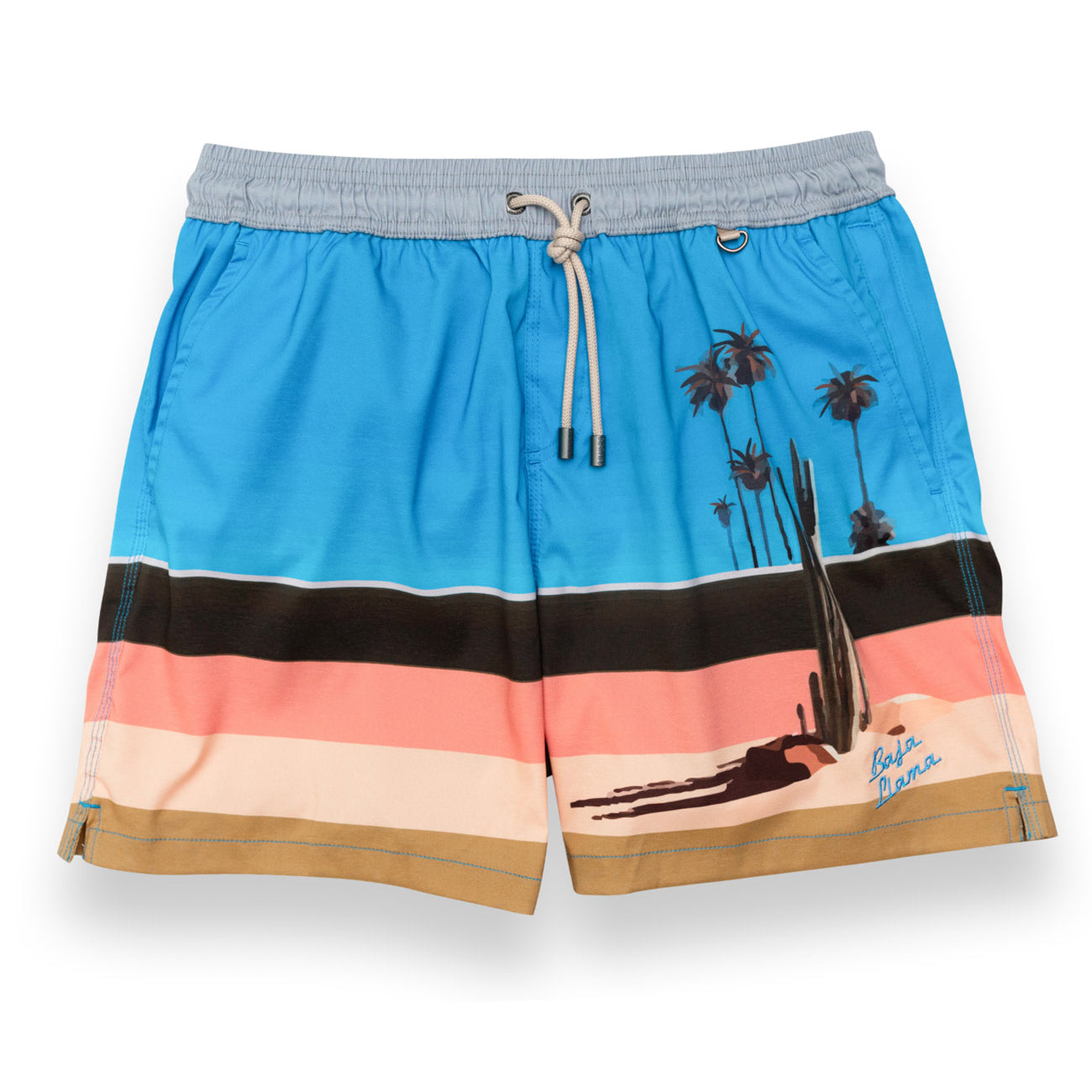 Multicolored retro-style men's volley shorts featuring cactus and palm tree prints with embroidered logo.