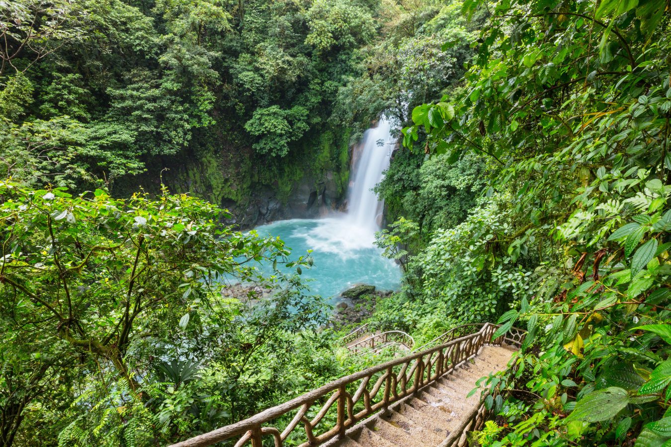 Flower Power: 5 Off The Beaten Path Destinations in Costa Rica That Offer An Authentic Experience