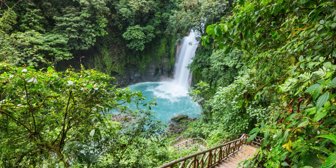 Flower Power: 5 Off The Beaten Path Destinations in Costa Rica That Offer An Authentic Experience