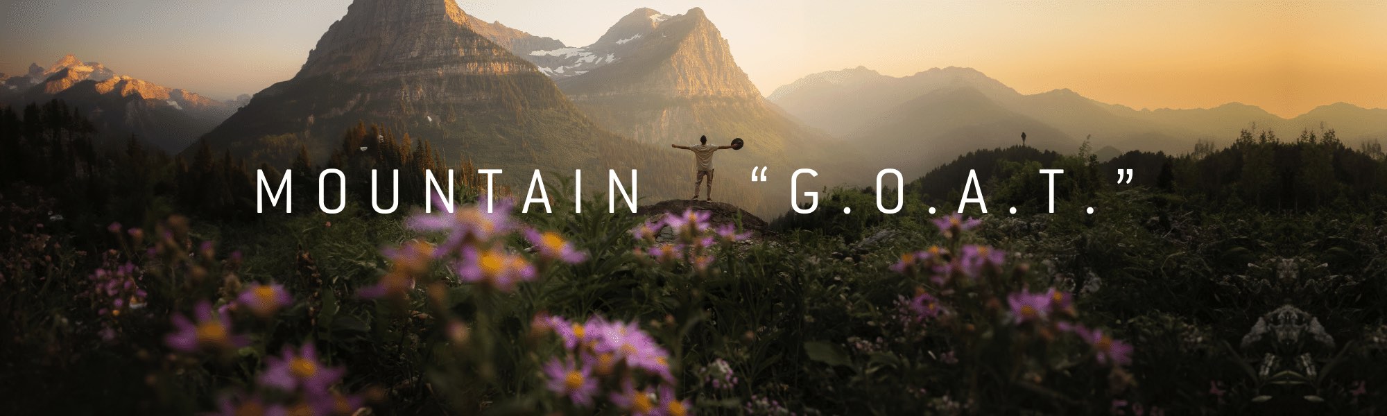 The Mountain GOAT