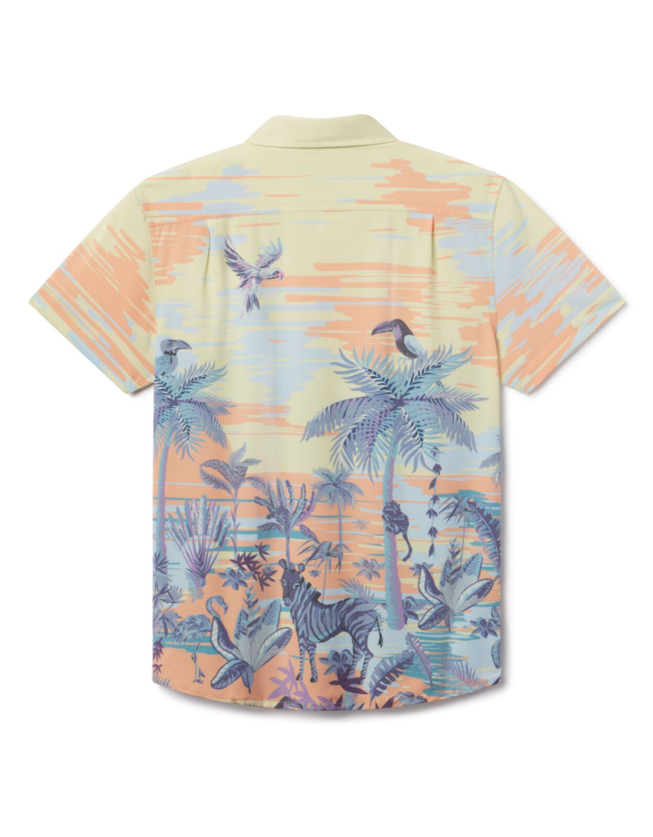 Back view of Time Before Land Vagabond travel shirt with shirttail hem