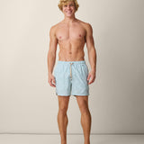 ROLL TIDES FERN GREEN - STRETCH SWIMSUIT