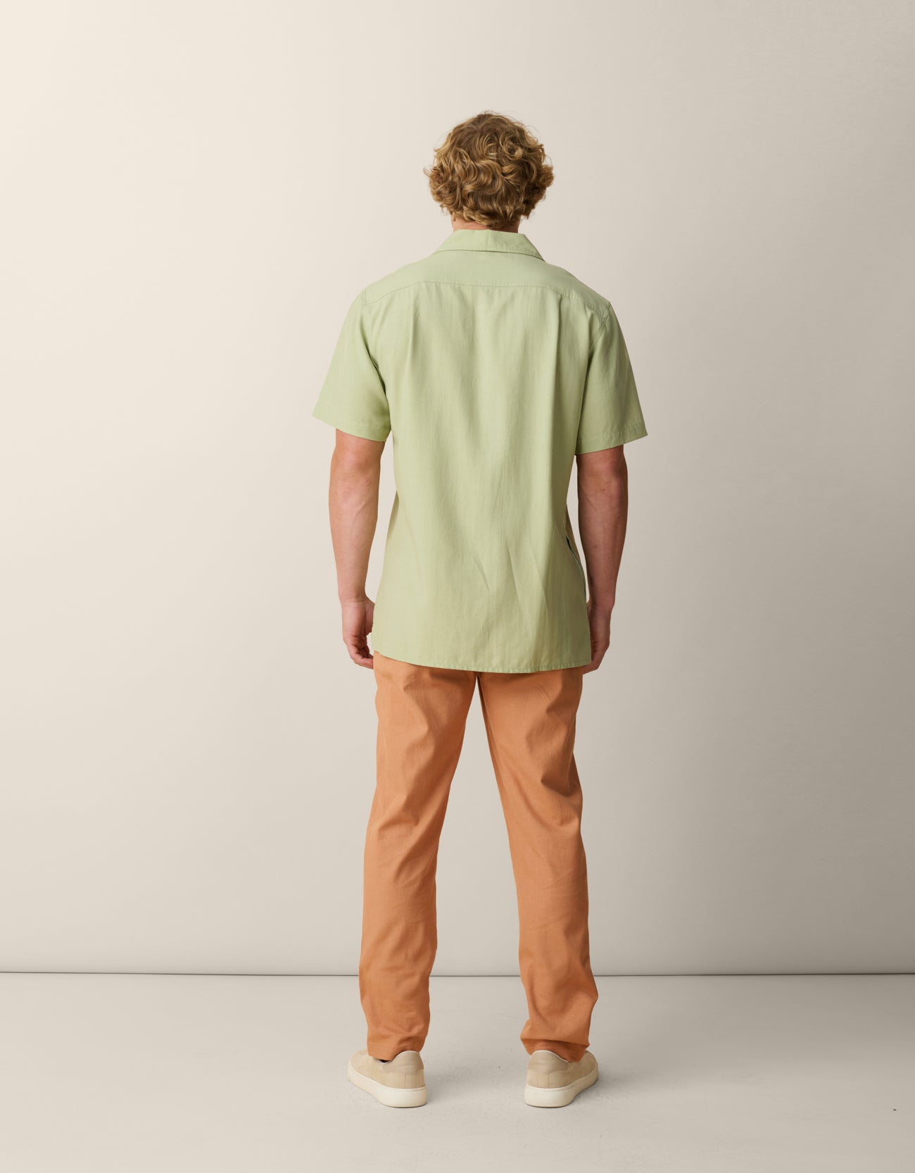 Baja Llama Oasis Geometry shirt with palms and floral embroidery back view
