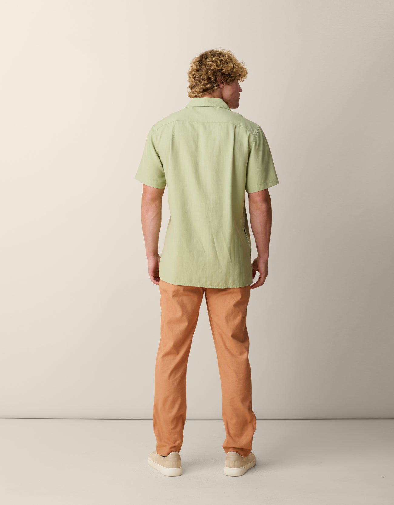 Baja Llama Oasis Geometry embroidered button-up shirt back view

