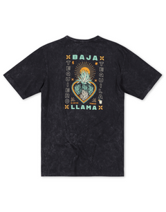 Agave El Sativo acid wash black graphic tee by Baja Llama. Collaboration with El Sativo organic tequila featuring a bold teal agave plant with El Sativo branding. Soft fabric and relaxed fit for adventurous style.