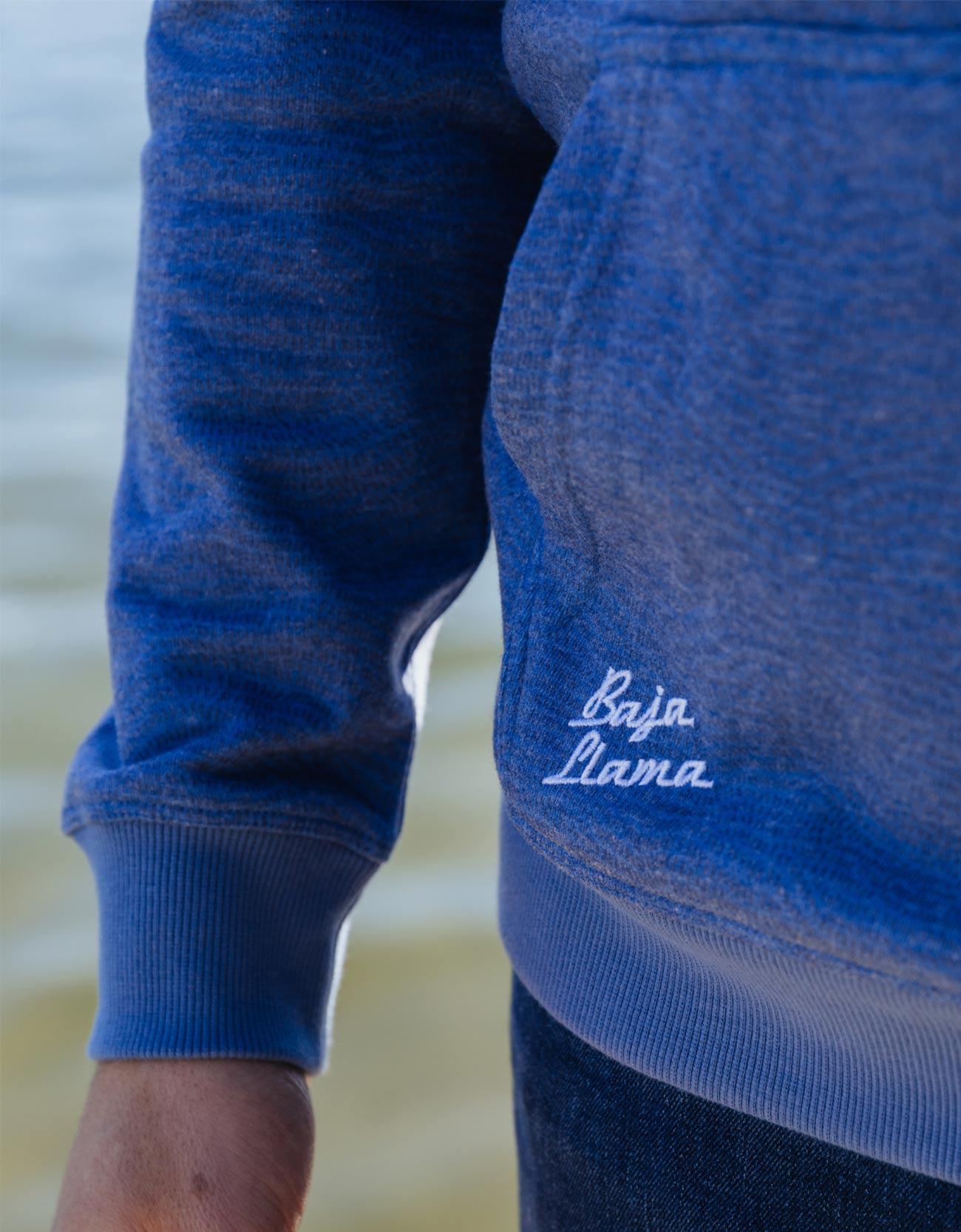 Blue Catfish embroidered organic cotton hoodie