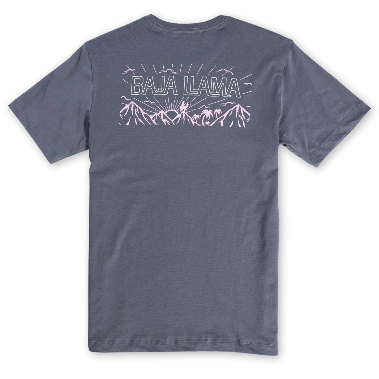 EXPEDITIONER - GRAY PRIMO GRAPHIC TEE