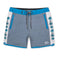 A SPINY PROPOSITION - REMANSO 17" BOARDSHORTS
